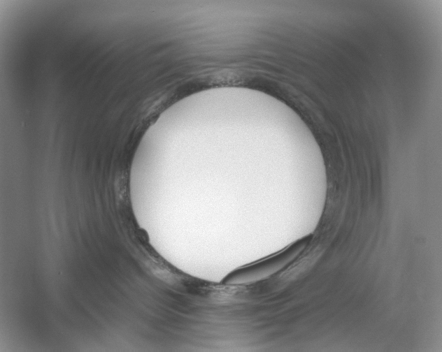 X0000054270096200508261927.png