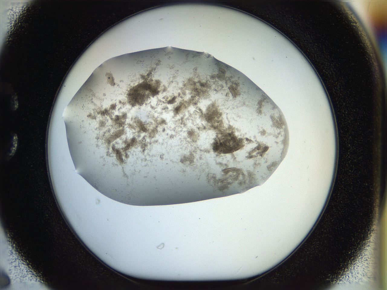 056q_C6_ImagerDefaults_3.jpg