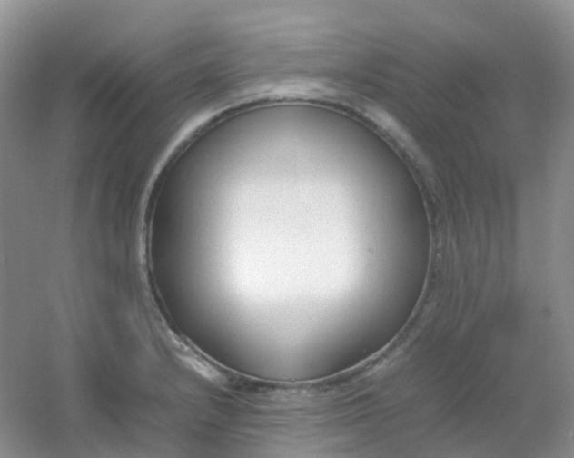 X0000054331232200508111910.png