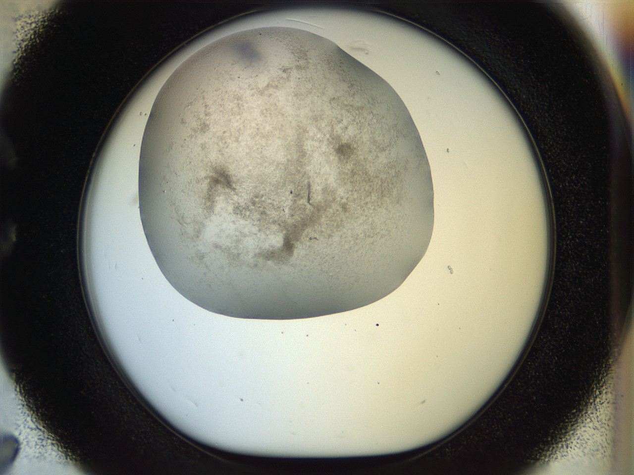 056q_C7_ImagerDefaults_3.jpg