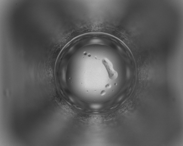 X0000051110521200507141800.png