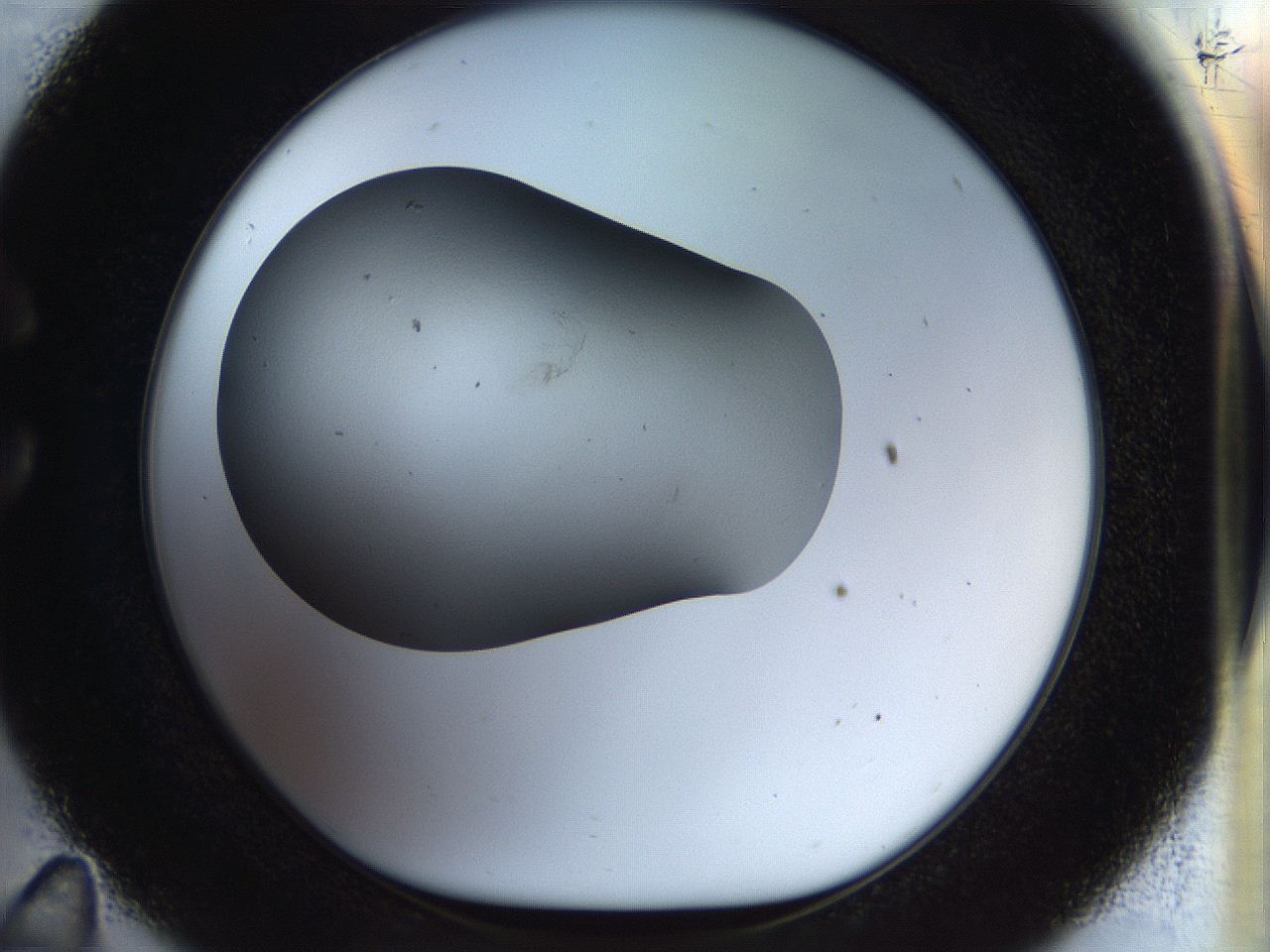 056q_C11_ImagerDefaults_0.jpg