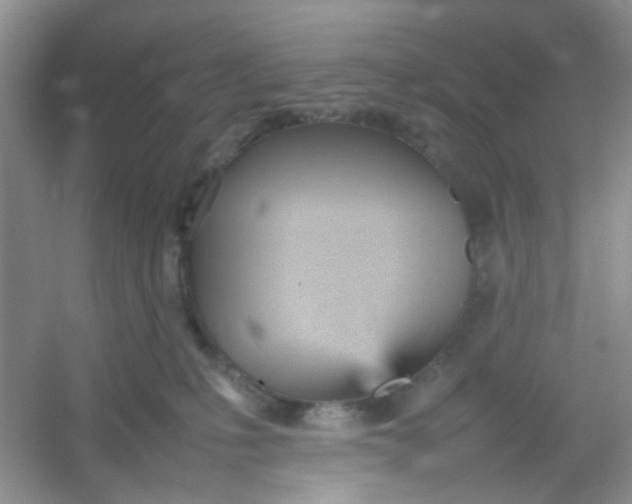 X0000054330231200508111927.png