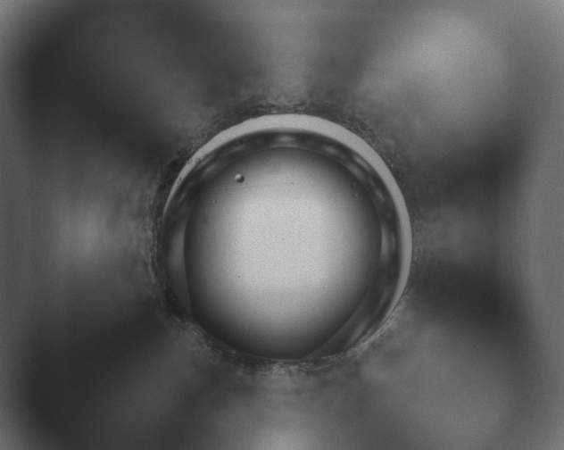 X0000047470187200503091608.png