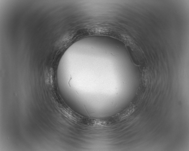 X0000055060760200508161645.png
