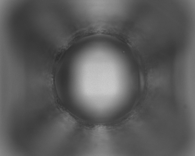 X0000054930413200508291637.png