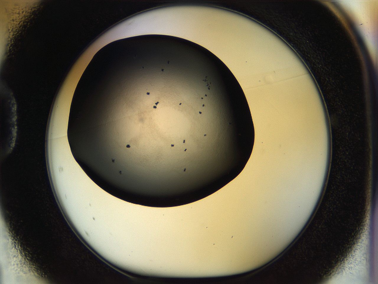 056q_D1_ImagerDefaults_6.jpg