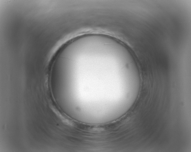 X0000054331503200508111905.png