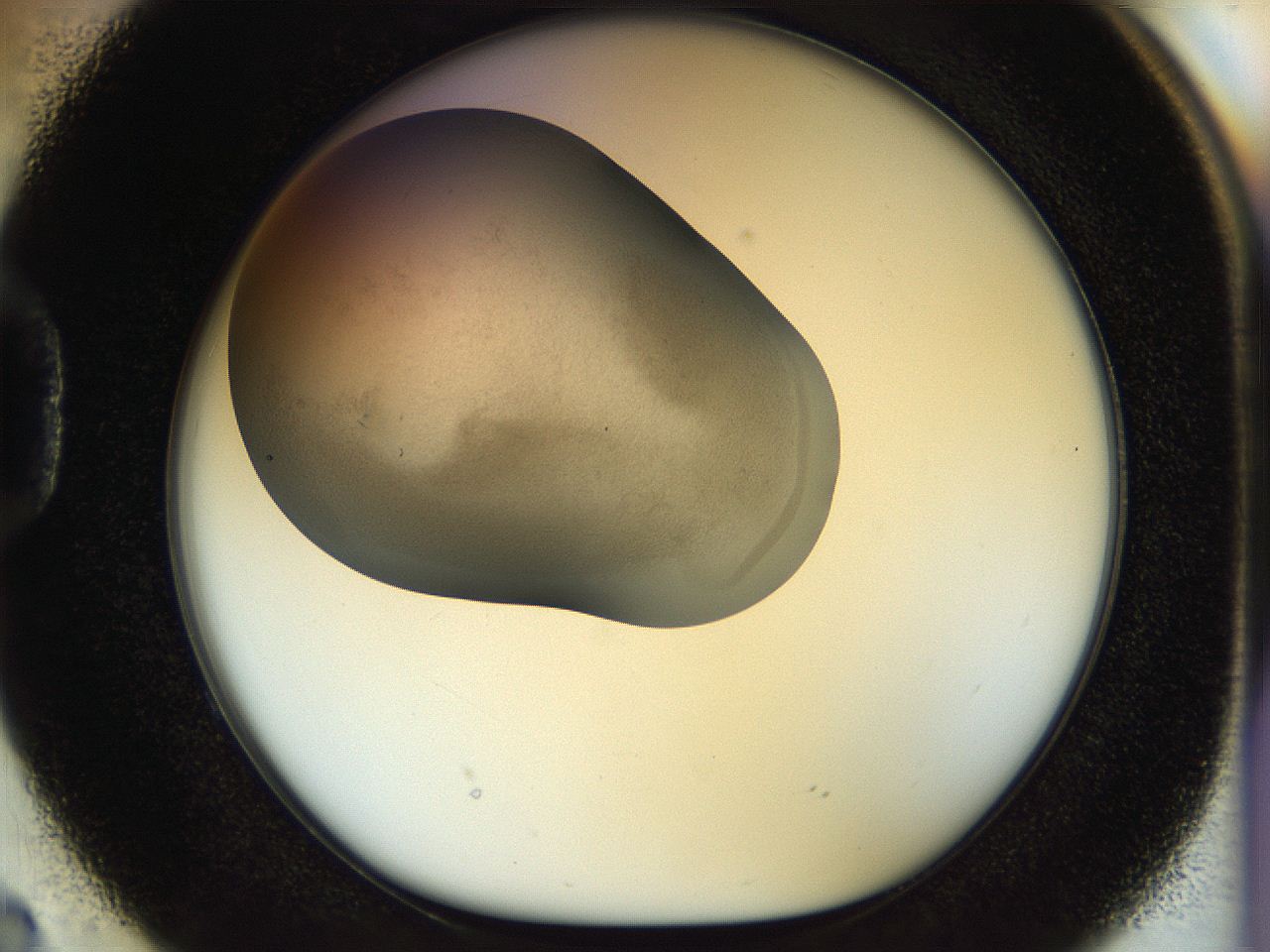 056q_D2_ImagerDefaults_2.jpg