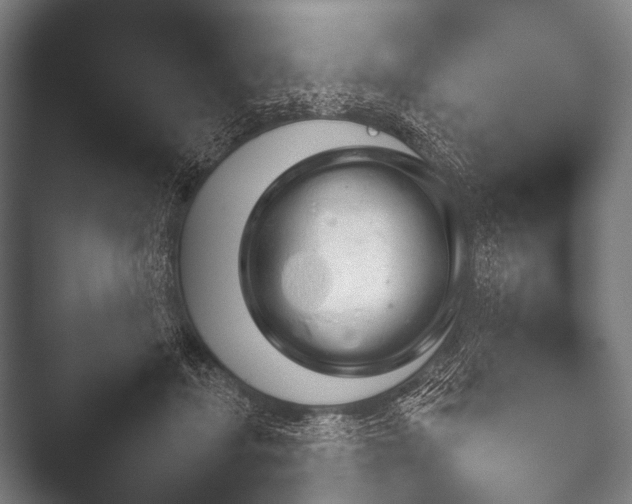 X0000052020459200507181631.png