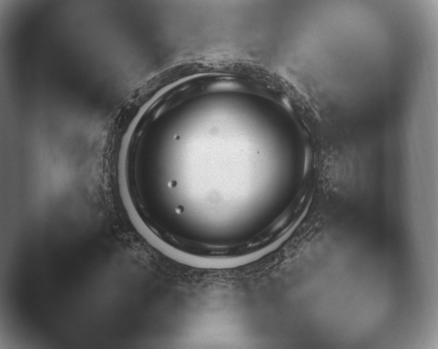 X0000045451016200502011651.png