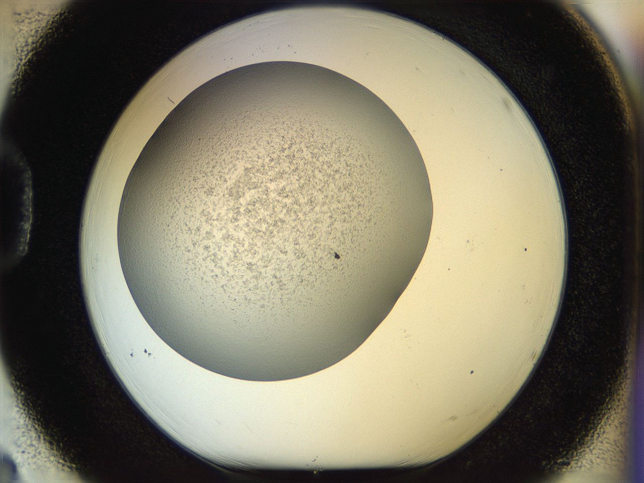 056q_D3_ImagerDefaults_2.jpg
