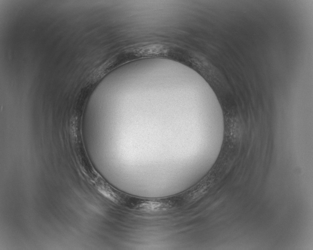 X0000055210326200508301328.png