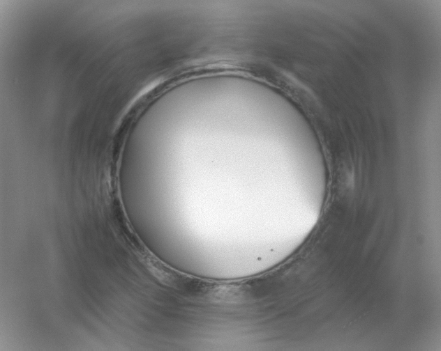 X0000054331166200508111911.png