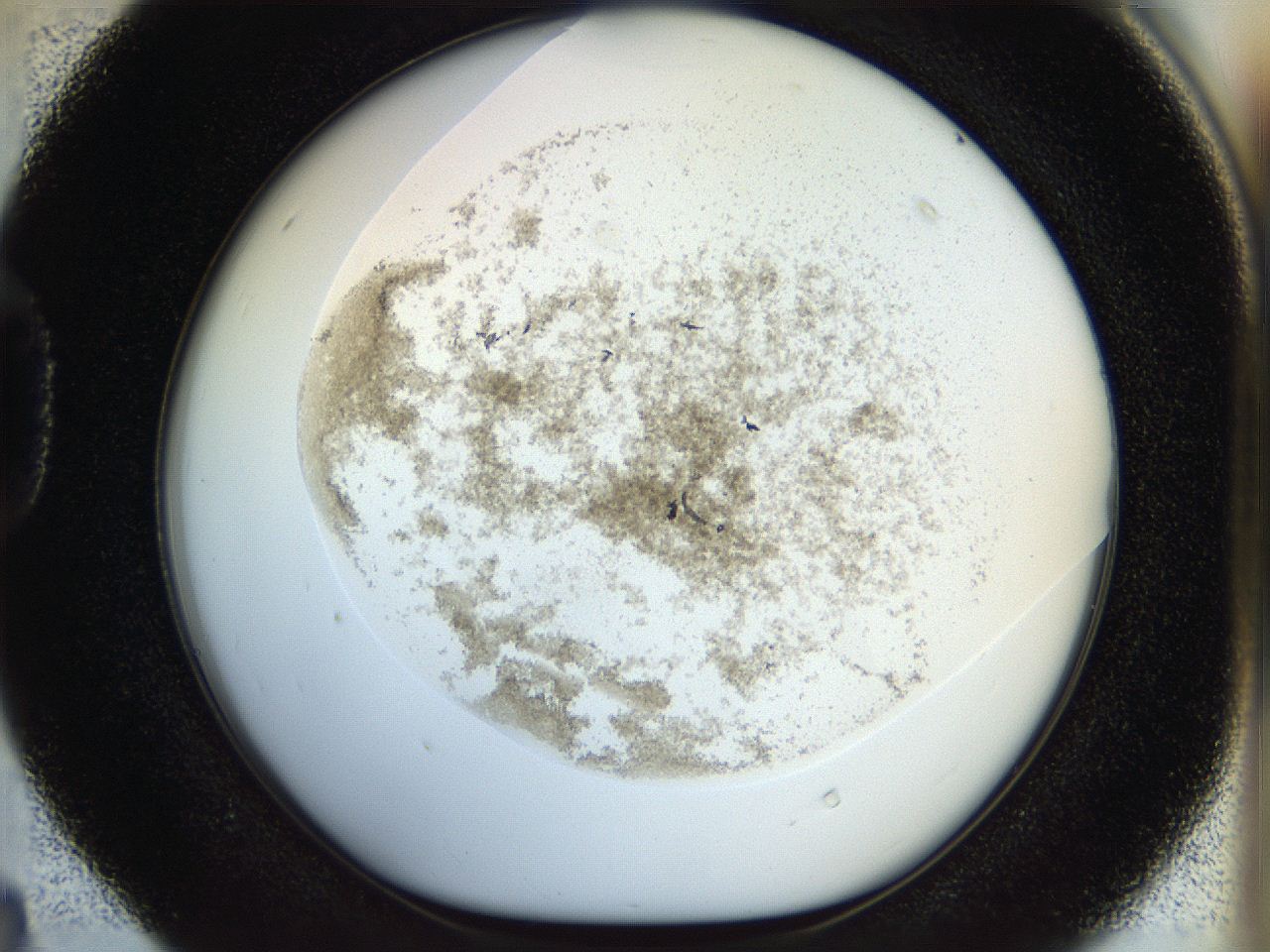 056q_D4_ImagerDefaults_2.jpg