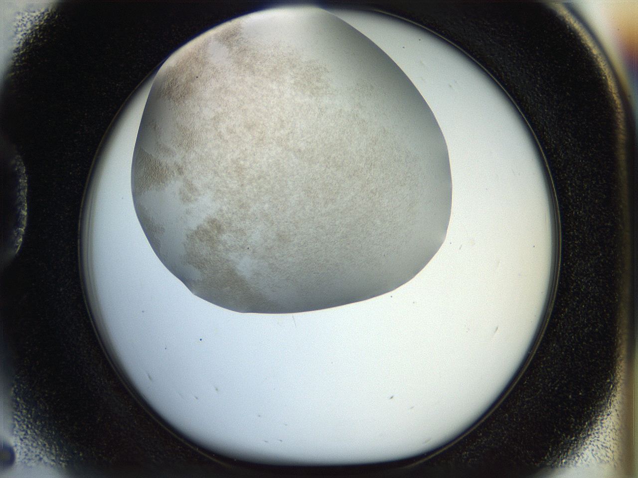 056q_D5_ImagerDefaults_2.jpg