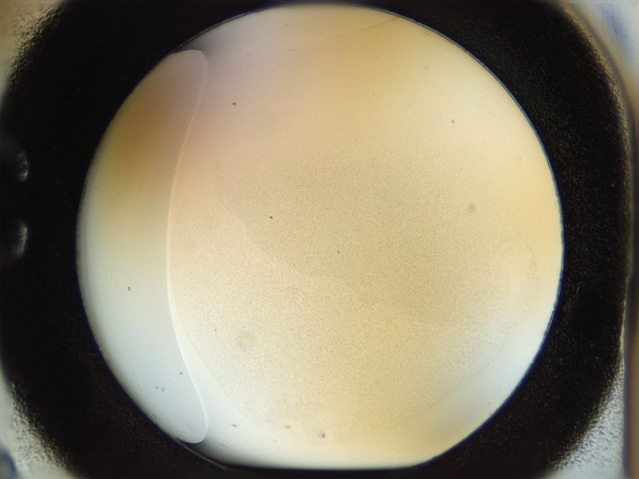 056q_C2_ImagerDefaults_0.jpg