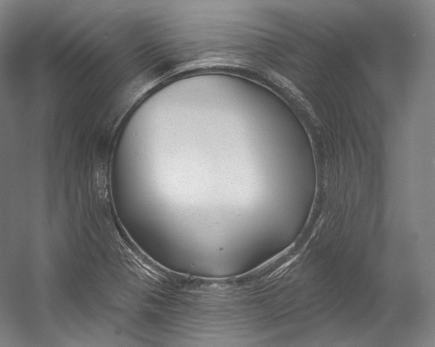 X0000055211321200508301311.png