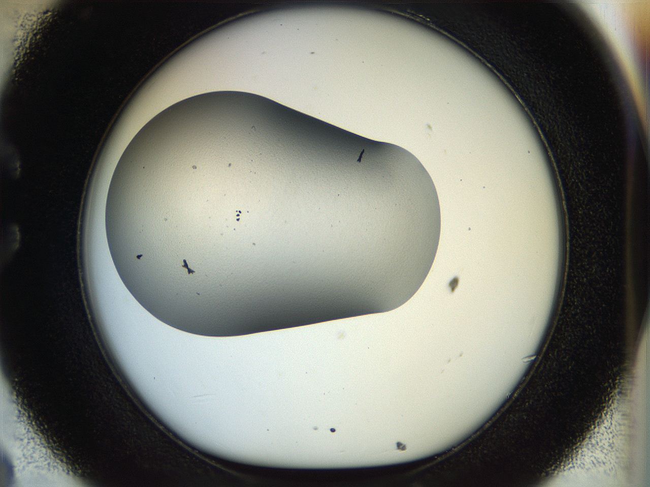 056q_C8_ImagerDefaults_6.jpg