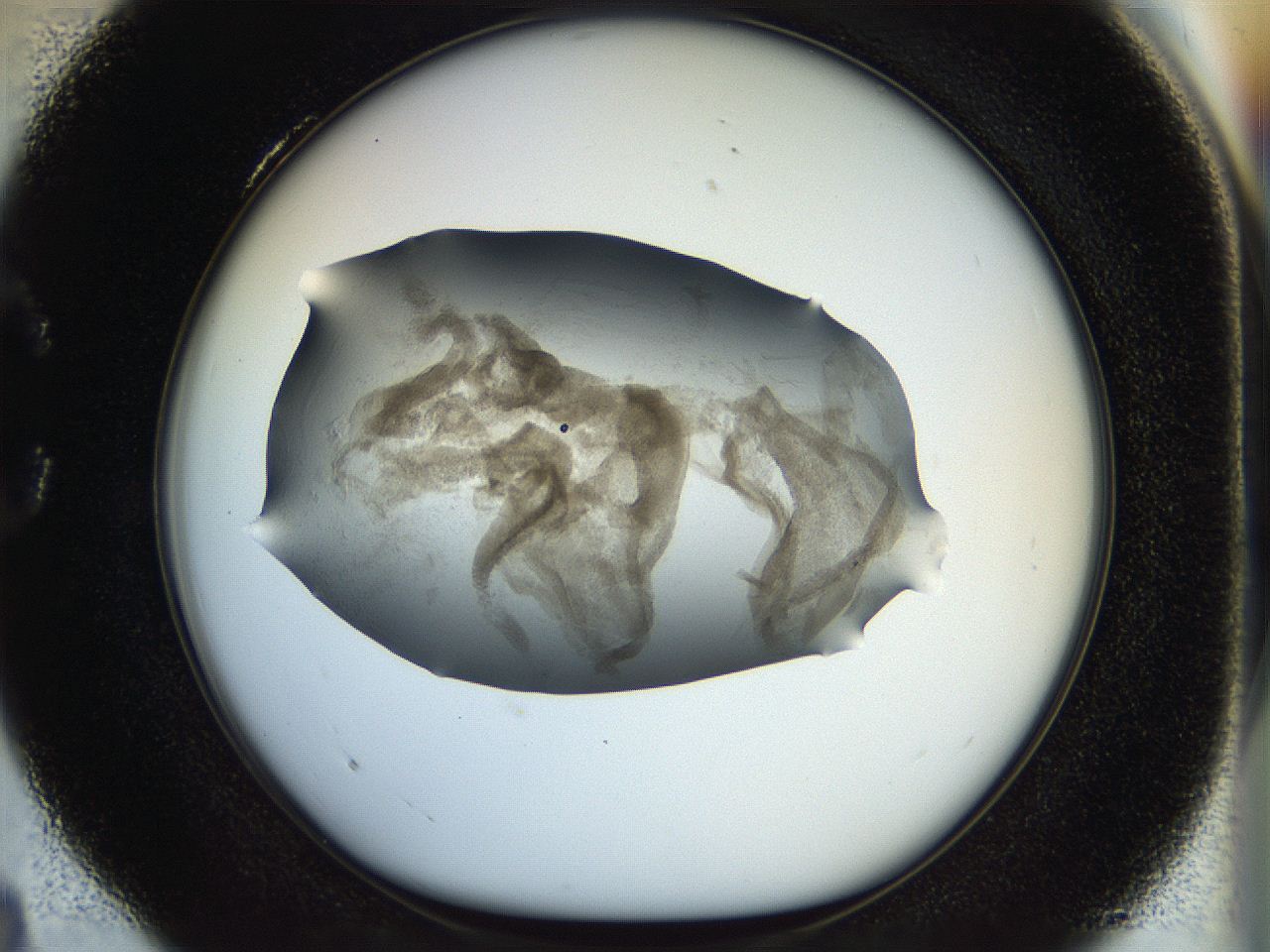 056q_C4_ImagerDefaults_3.jpg