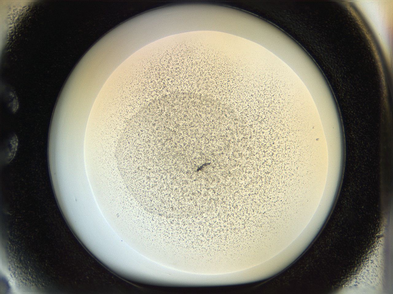 056q_C3_ImagerDefaults_2.jpg