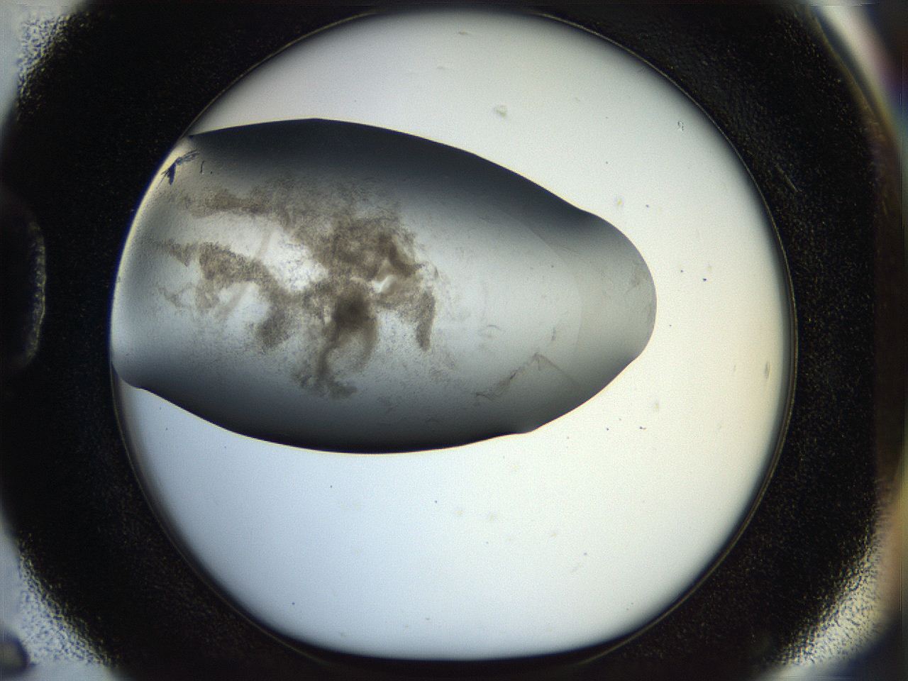 056q_D6_ImagerDefaults_3.jpg