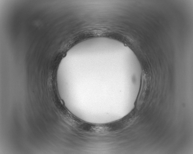 X0000054270221200508261924.png