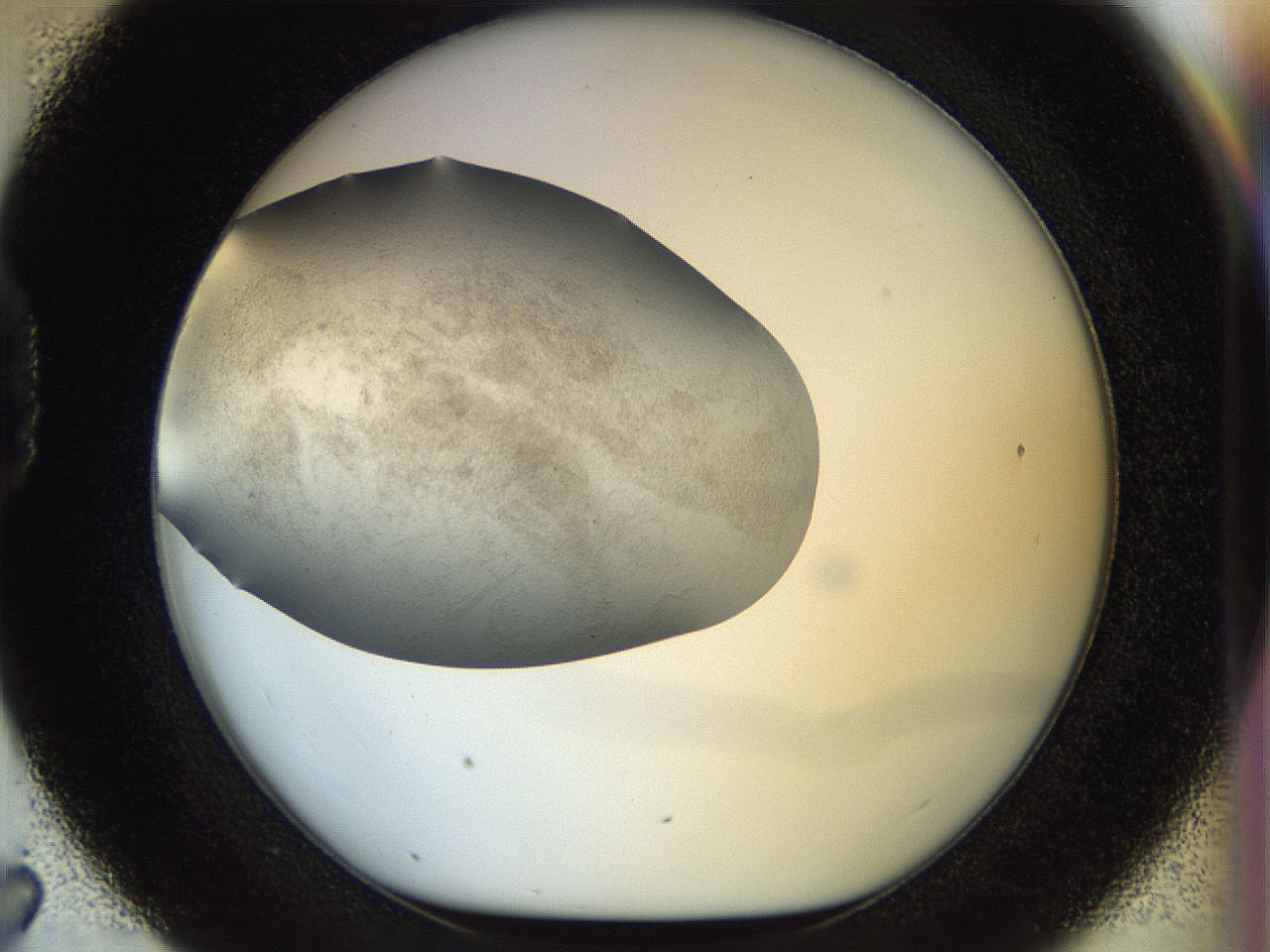 056q_D7_ImagerDefaults_2.jpg