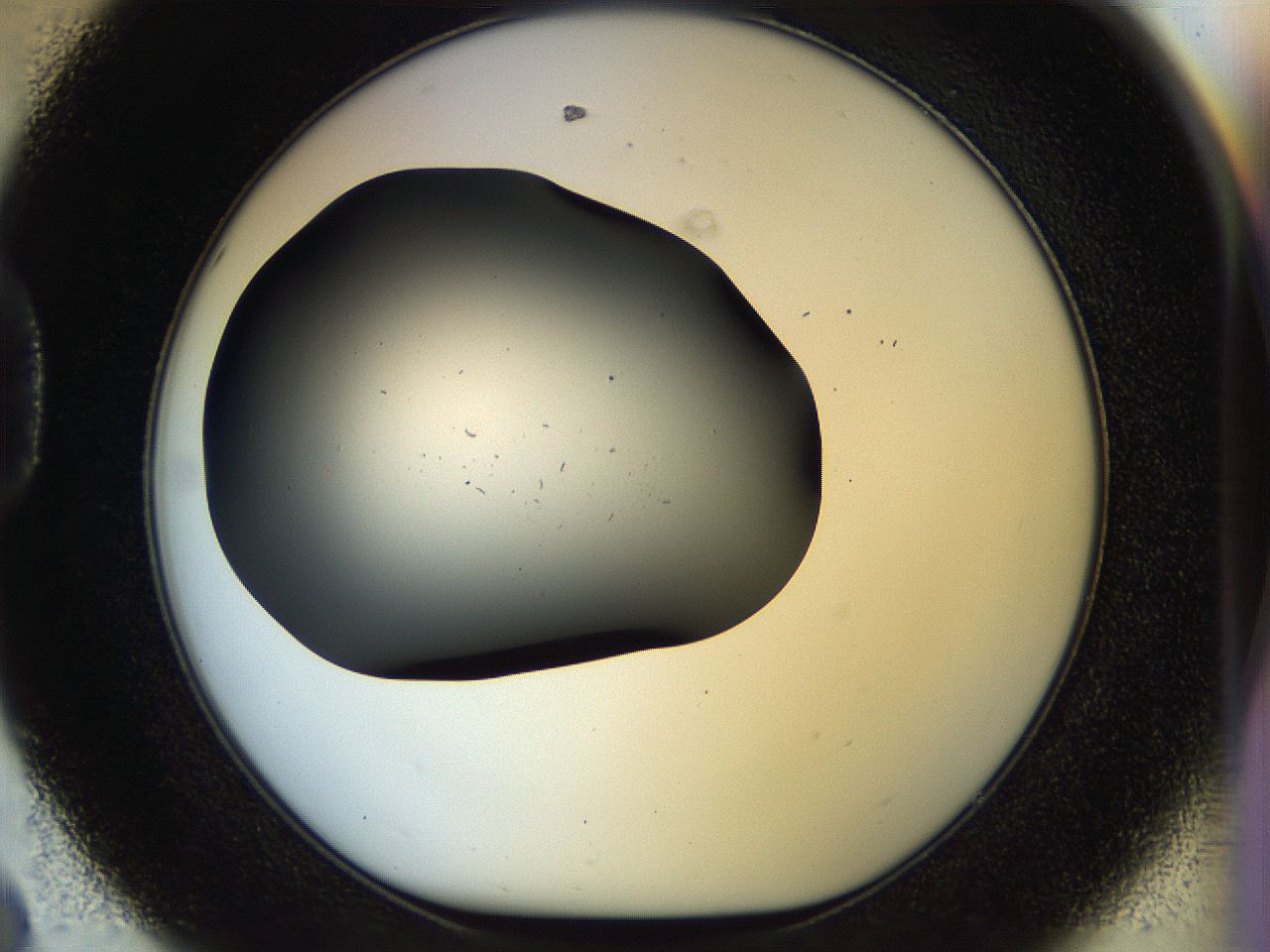 056q_D8_ImagerDefaults_1.jpg