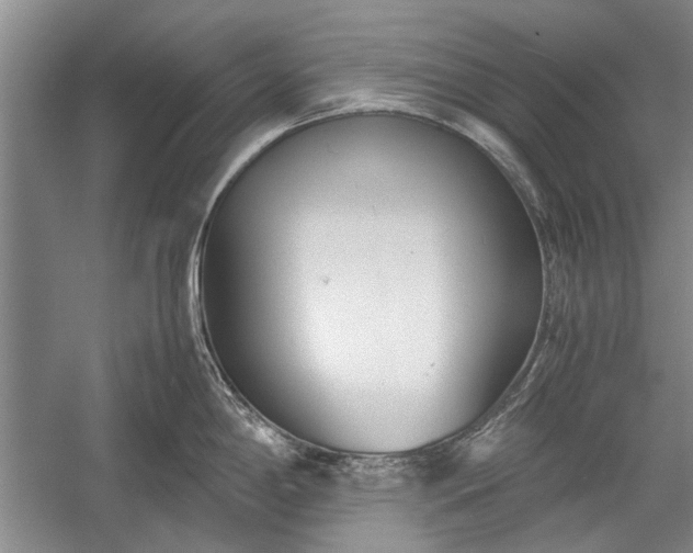 X0000055061198200508161637.png