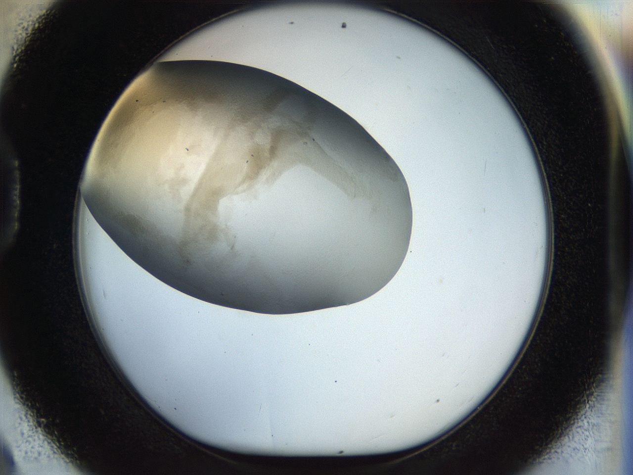 056q_D9_ImagerDefaults_2.jpg