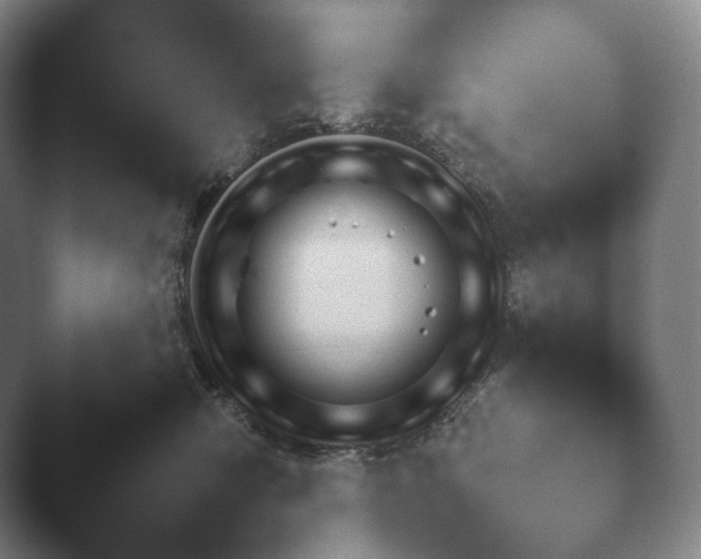 X0000045450470200502011701.png