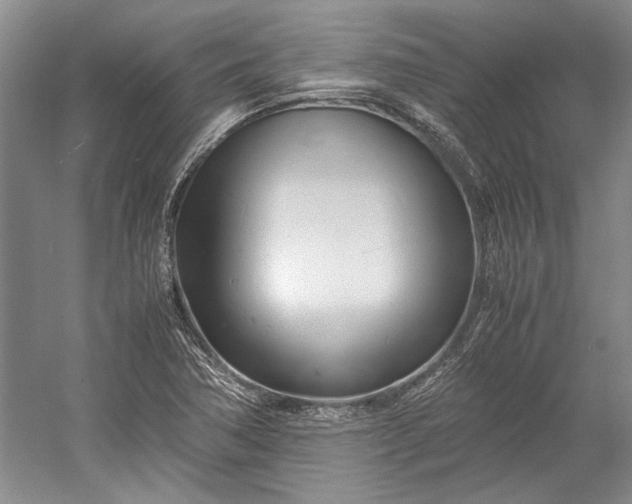 X0000055061362200508161634.png