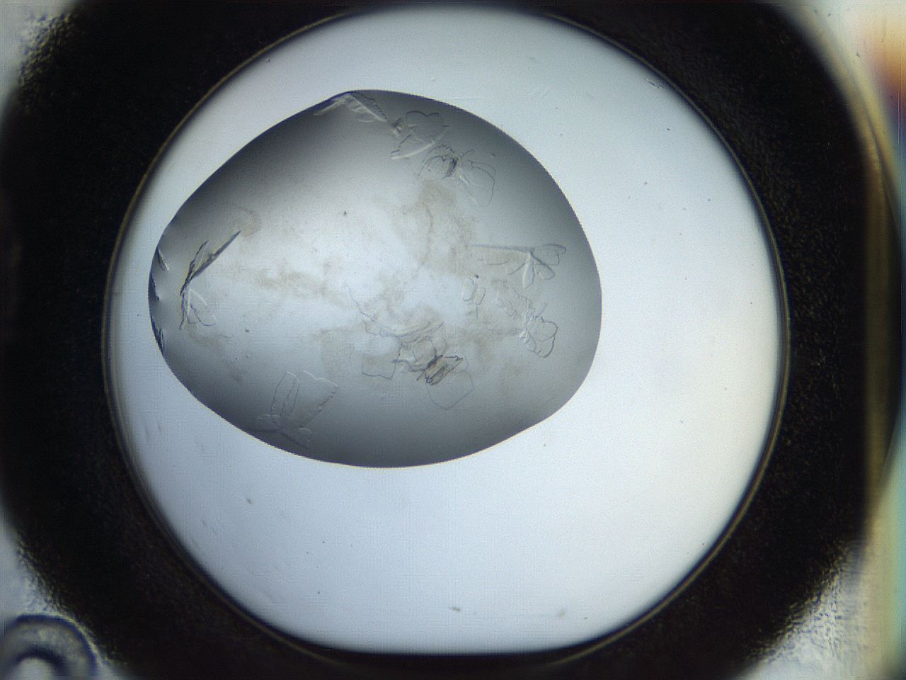 056q_D10_ImagerDefaults_8.jpg