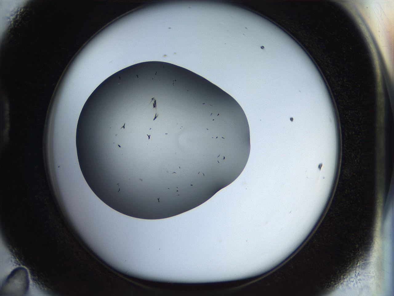 056q_D11_ImagerDefaults_6.jpg