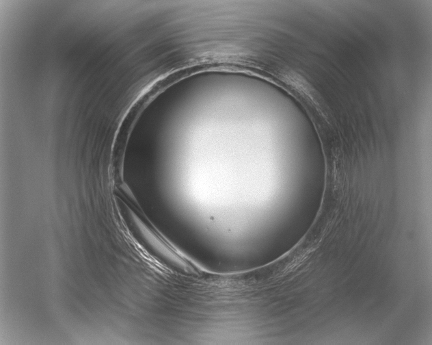 X0000055060924200508161642.png