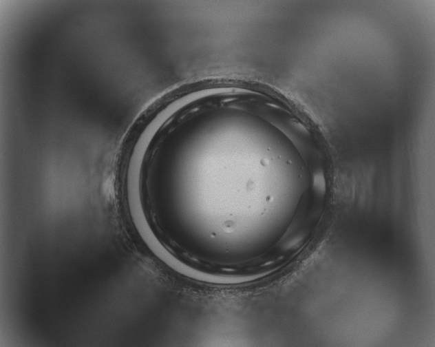 X0000047500830200503161511.png