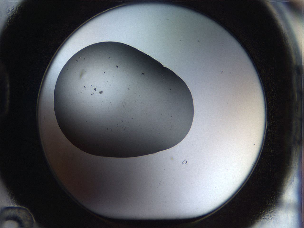 056q_D12_ImagerDefaults_1.jpg