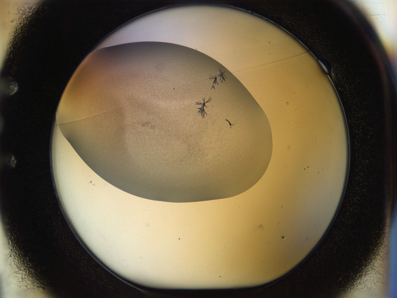 056q_E1_ImagerDefaults_6.jpg