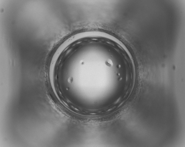 X0000052120677200507262052.png