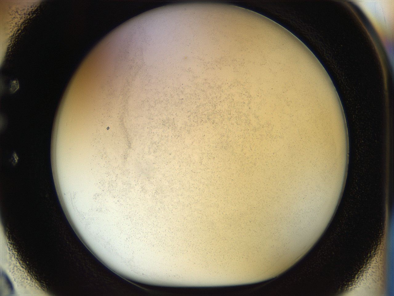 056q_E2_ImagerDefaults_2.jpg