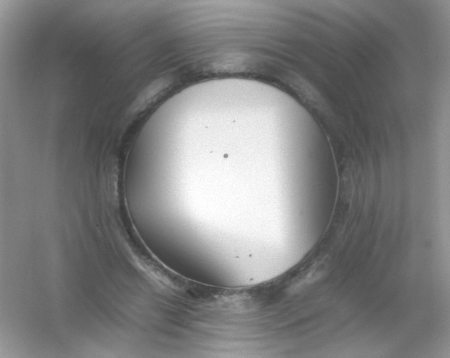 X0000054330446200508111923.png