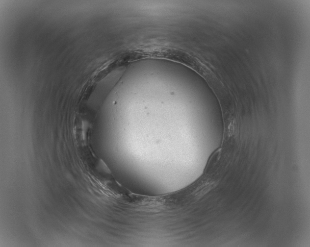 X0000055211156200508301314.png