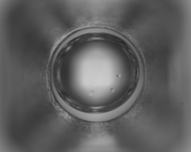 X0000051110960200507141753.png