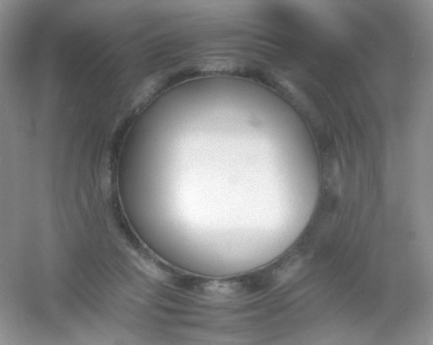 X0000054330261200508111927.png