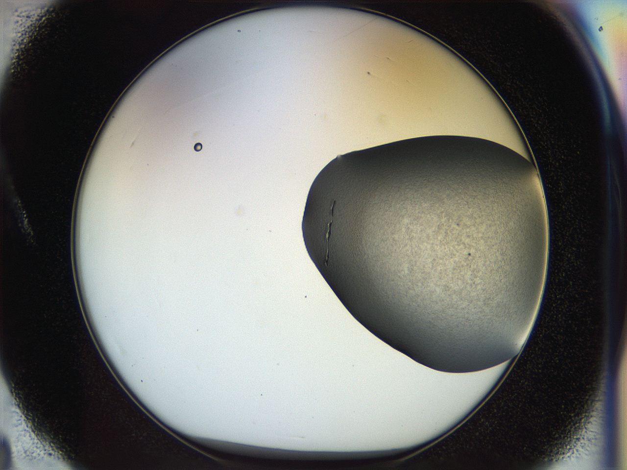 056q_A4_ImagerDefaults_2.jpg