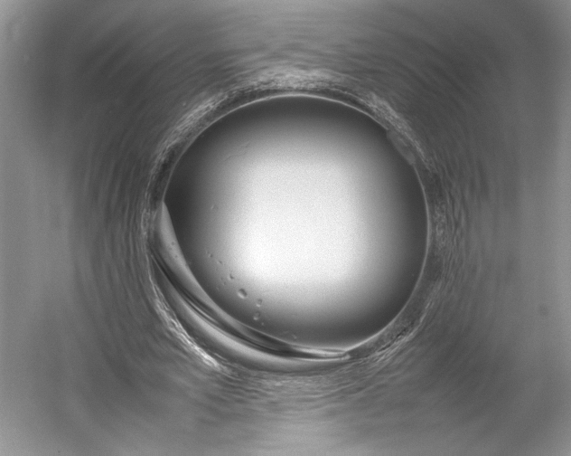 X0000055060581200508161648.png