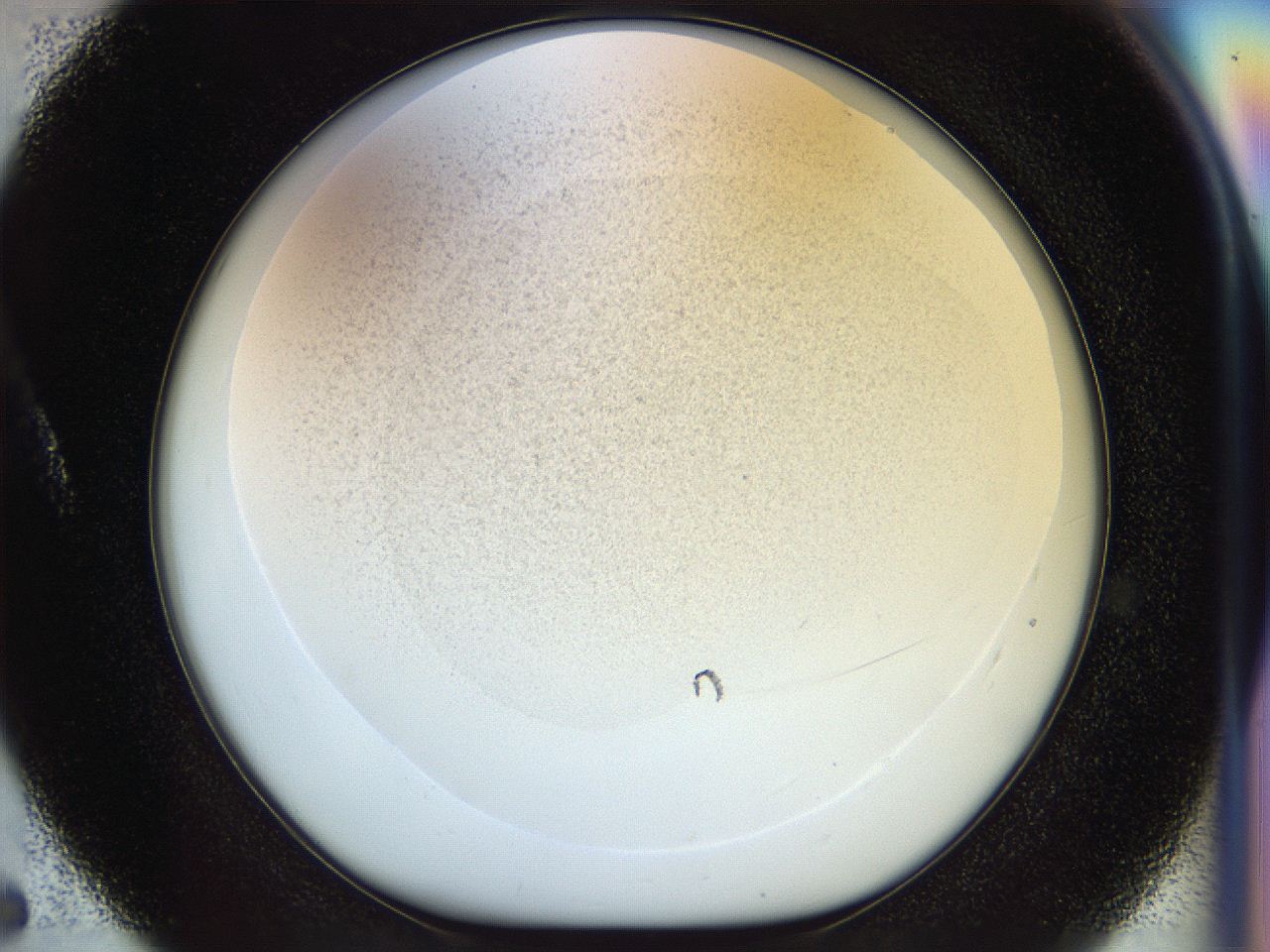 056q_A5_ImagerDefaults_2.jpg