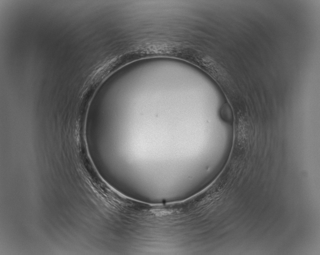 X0000055210640200508301323.png