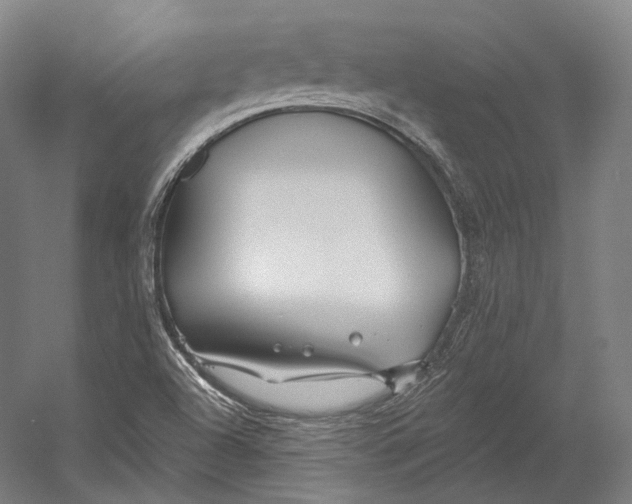X0000055211504200508301308.png